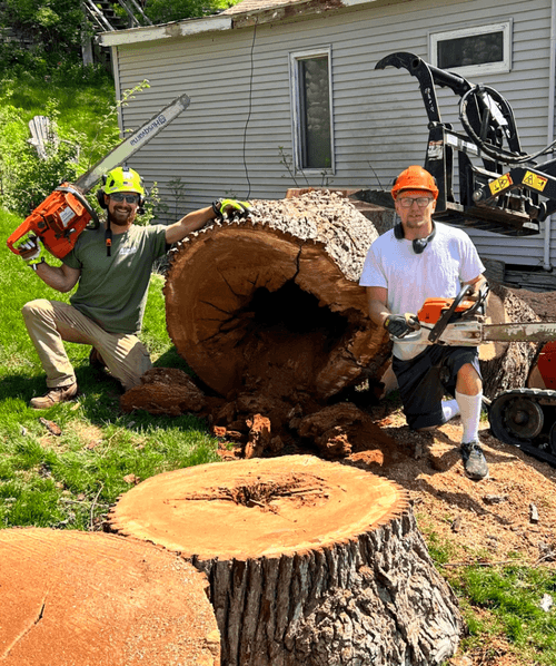 A couple of men standing next to a tree stump